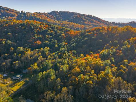 51 & 61 Rice Branch Road Asheville NC 28804