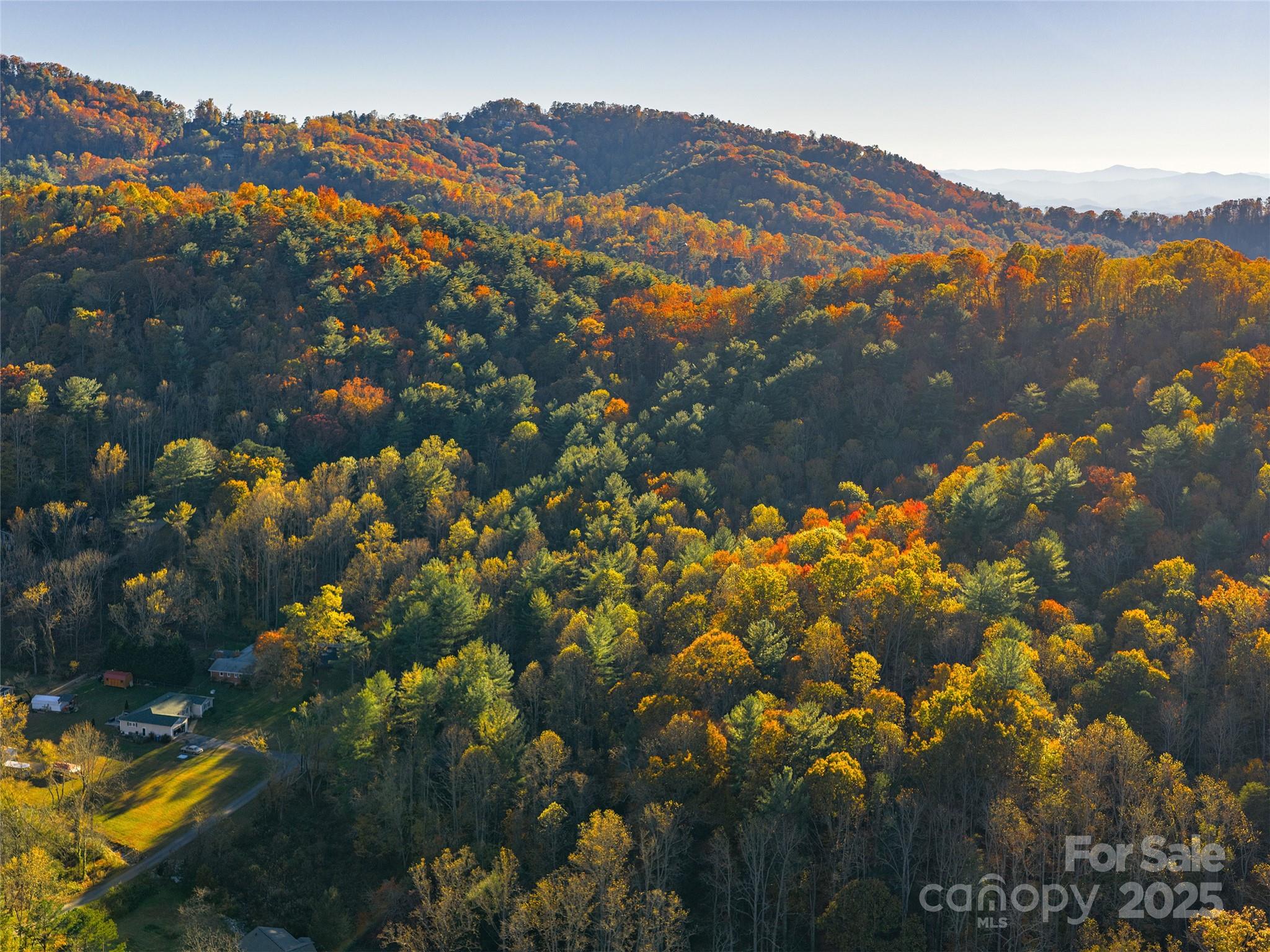 51 & 61 Rice Branch Road Asheville NC 28804