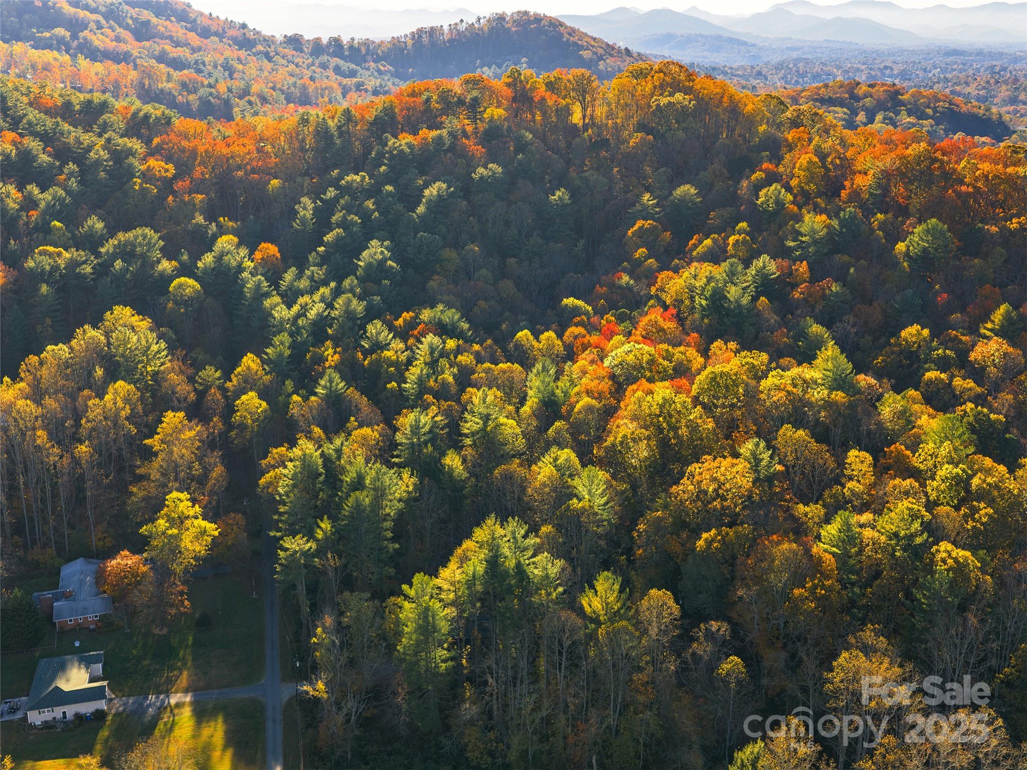 51 & 61 Rice Branch Road Asheville NC 28804