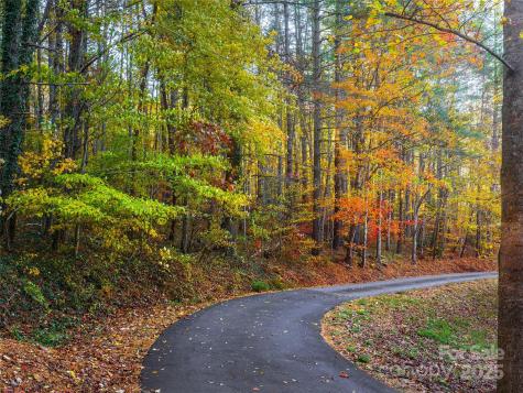 51 & 61 Rice Branch Road Asheville NC 28804