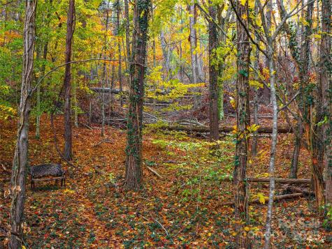 51 & 61 Rice Branch Road Asheville NC 28804