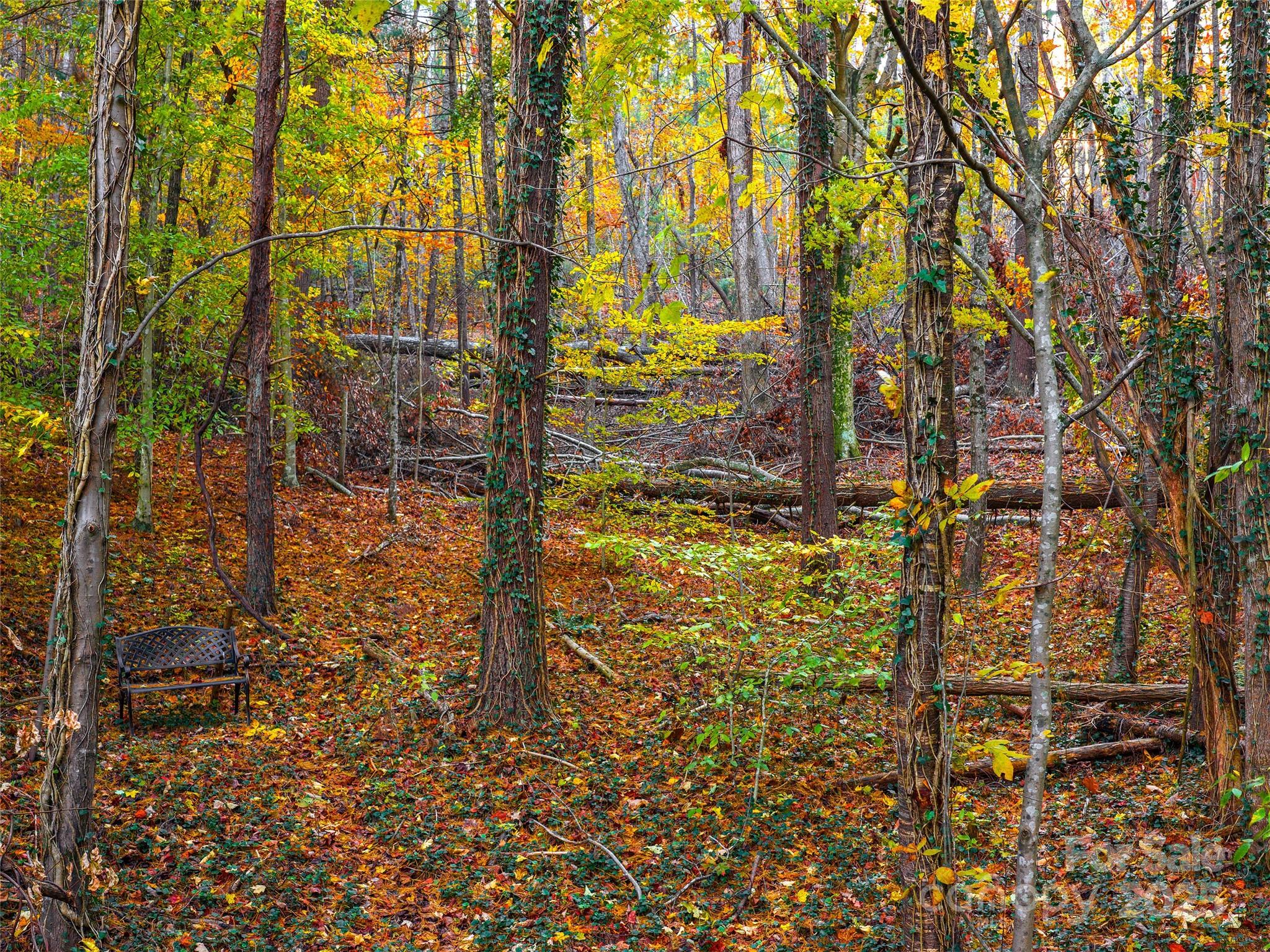 51 & 61 Rice Branch Road Asheville NC 28804