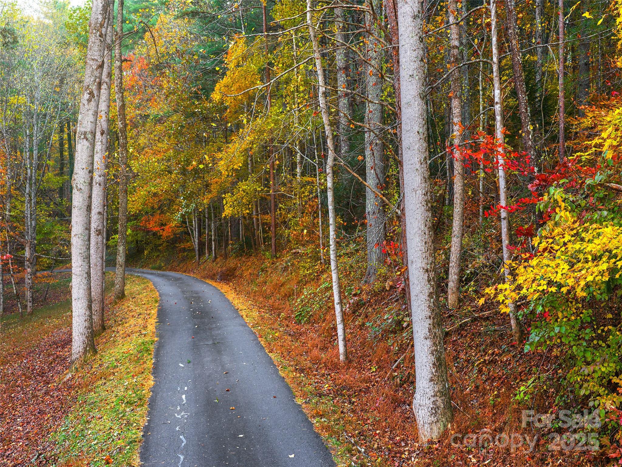 51 & 61 Rice Branch Road Asheville NC 28804