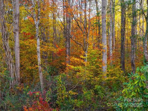 51 & 61 Rice Branch Road Asheville NC 28804