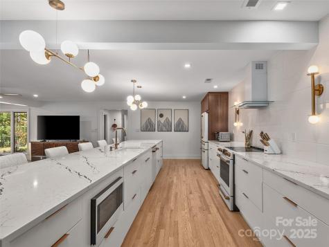 51 & 61 Rice Branch Road Asheville NC 28804