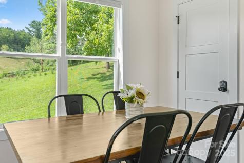 8 Green Tree Lane Asheville NC 28805