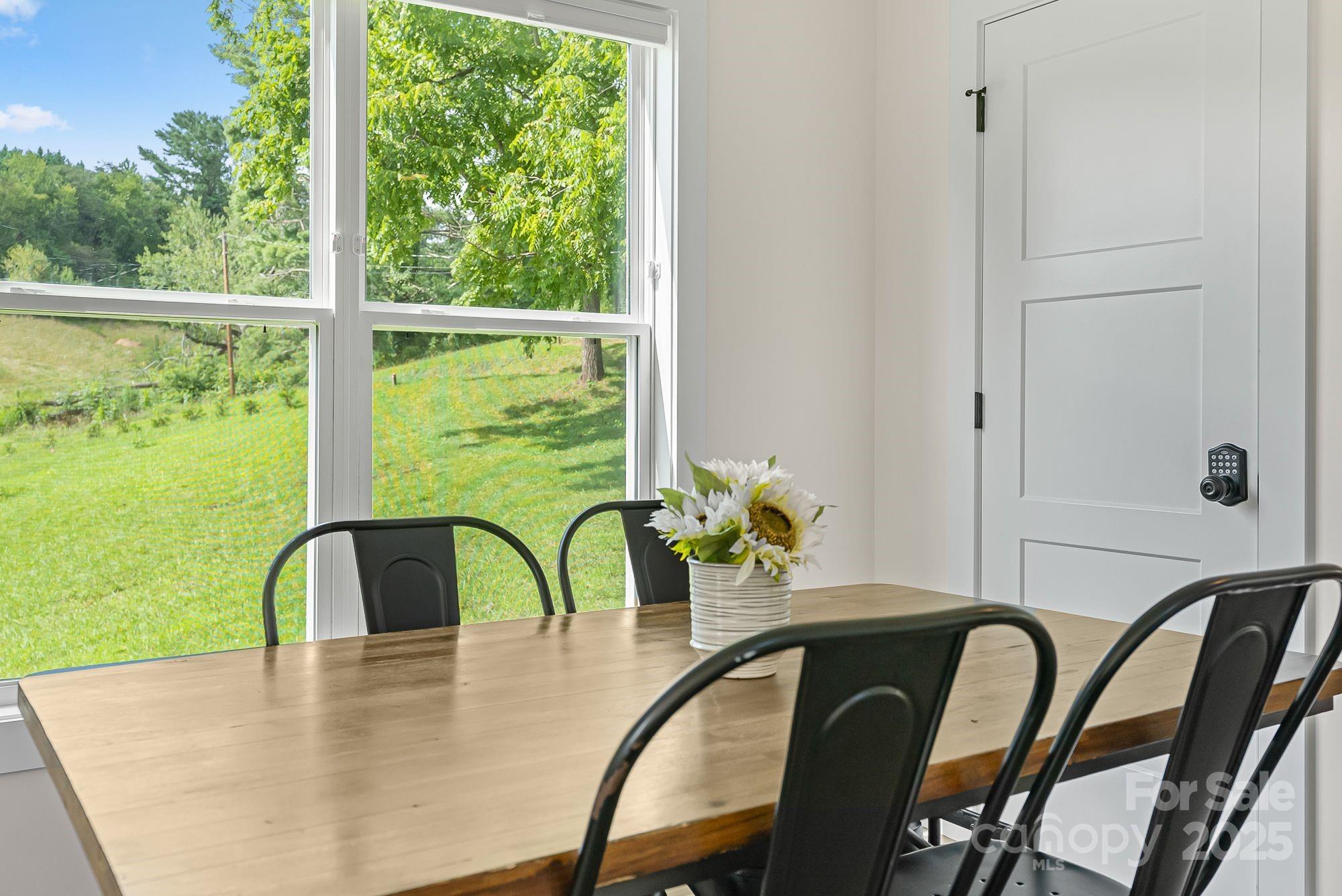 8 Green Tree Lane Asheville NC 28805