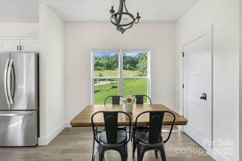 8 Green Tree Lane Asheville NC 28805