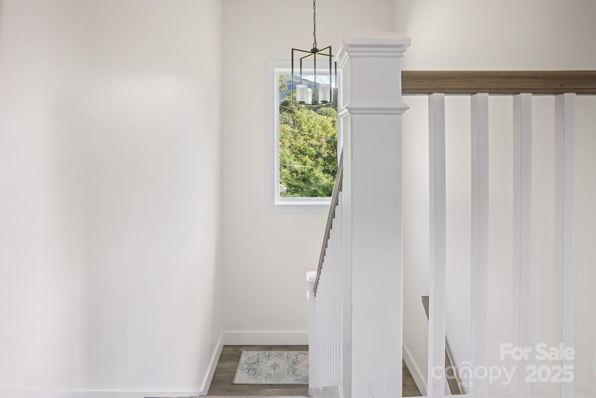 8 Green Tree Lane Asheville NC 28805