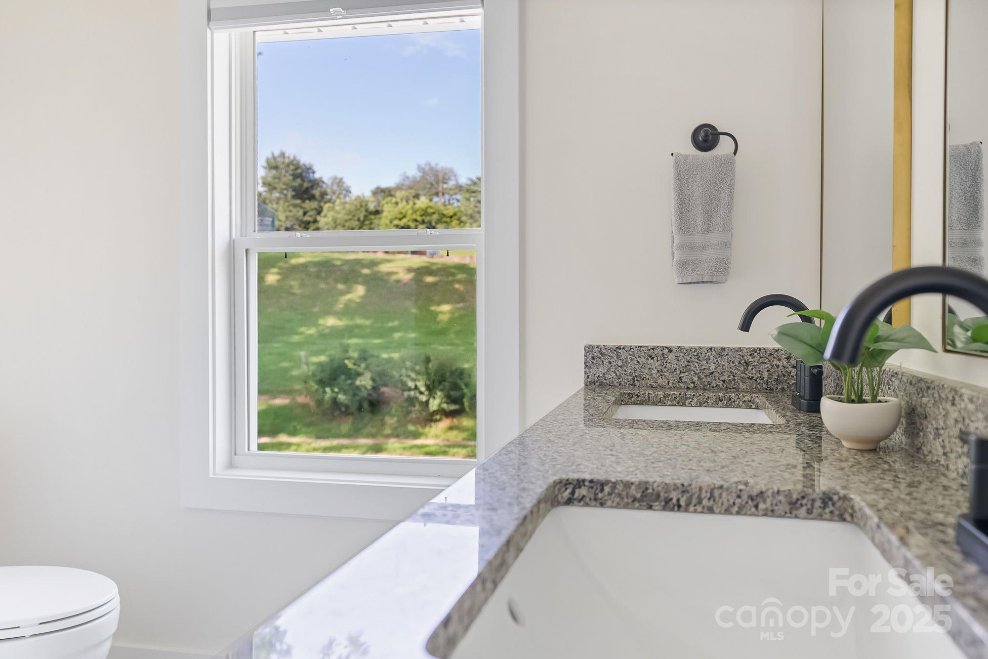 8 Green Tree Lane Asheville NC 28805