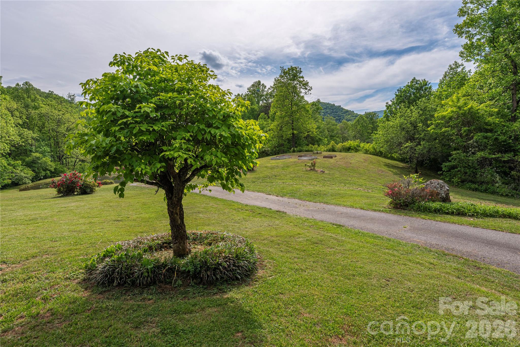 393 Carver Mountain Valley Sylva NC 28779