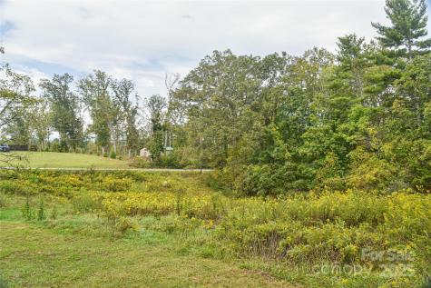 134 Goldview Road Asheville NC 28804