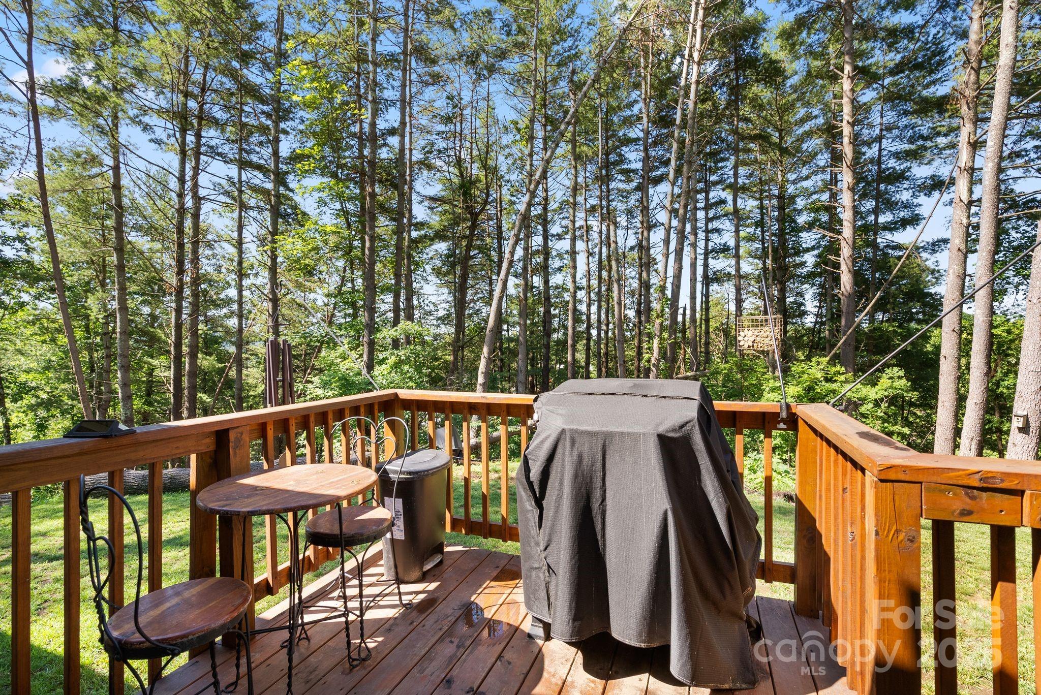 102 Kiwassa Lane Hendersonville NC 28792