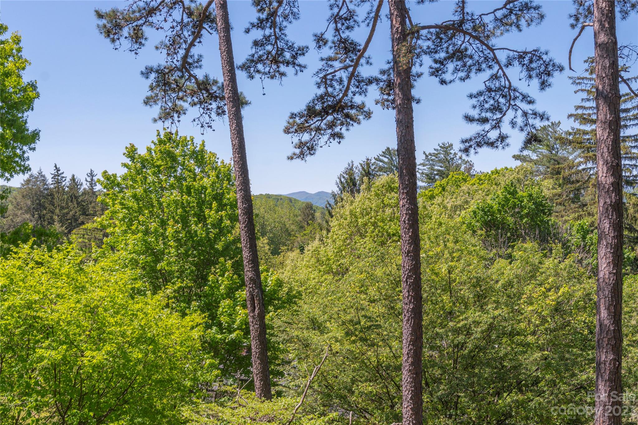 137 Stratford Road Asheville NC 28804