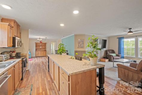 2517 Horseshoe Road Westfield NC 27053