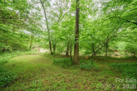 2517 Horseshoe Road Westfield NC 27053