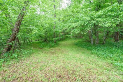 2517 Horseshoe Road Westfield NC 27053