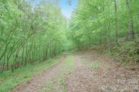 2517 Horseshoe Road Westfield NC 27053