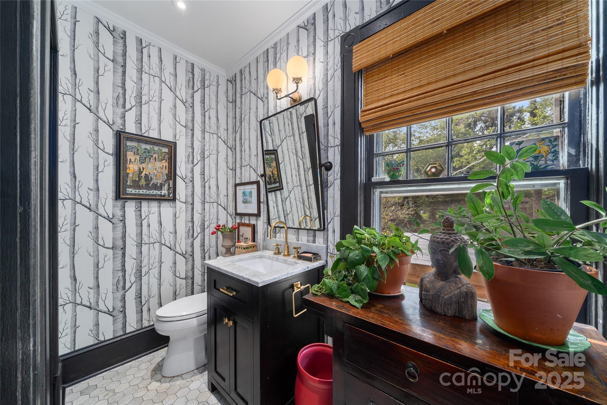 44 Watauga Street Asheville NC 28801