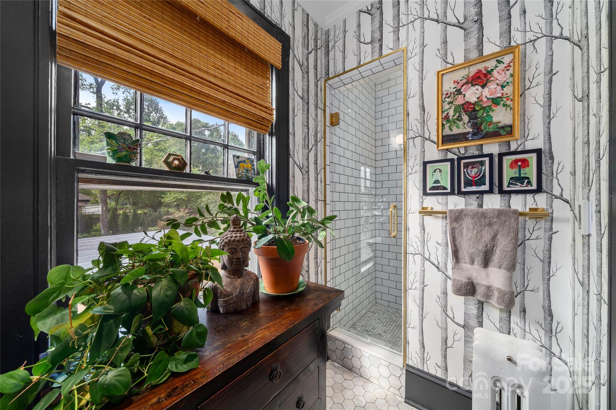 44 Watauga Street Asheville NC 28801