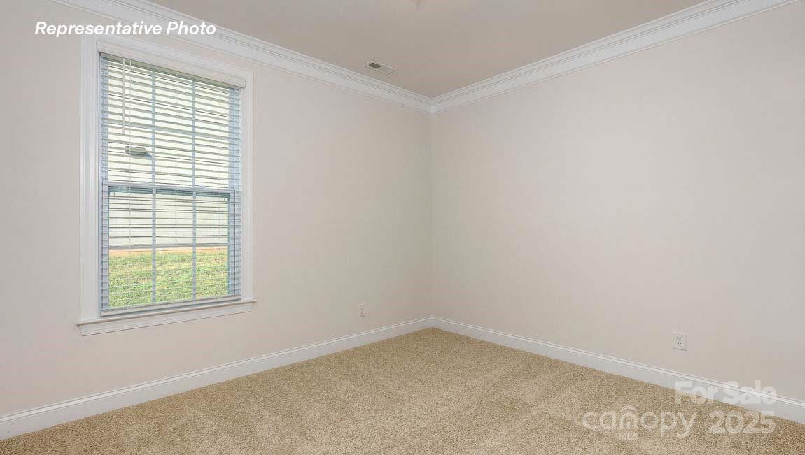 3121 Spring Iris Drive Denver NC 28037