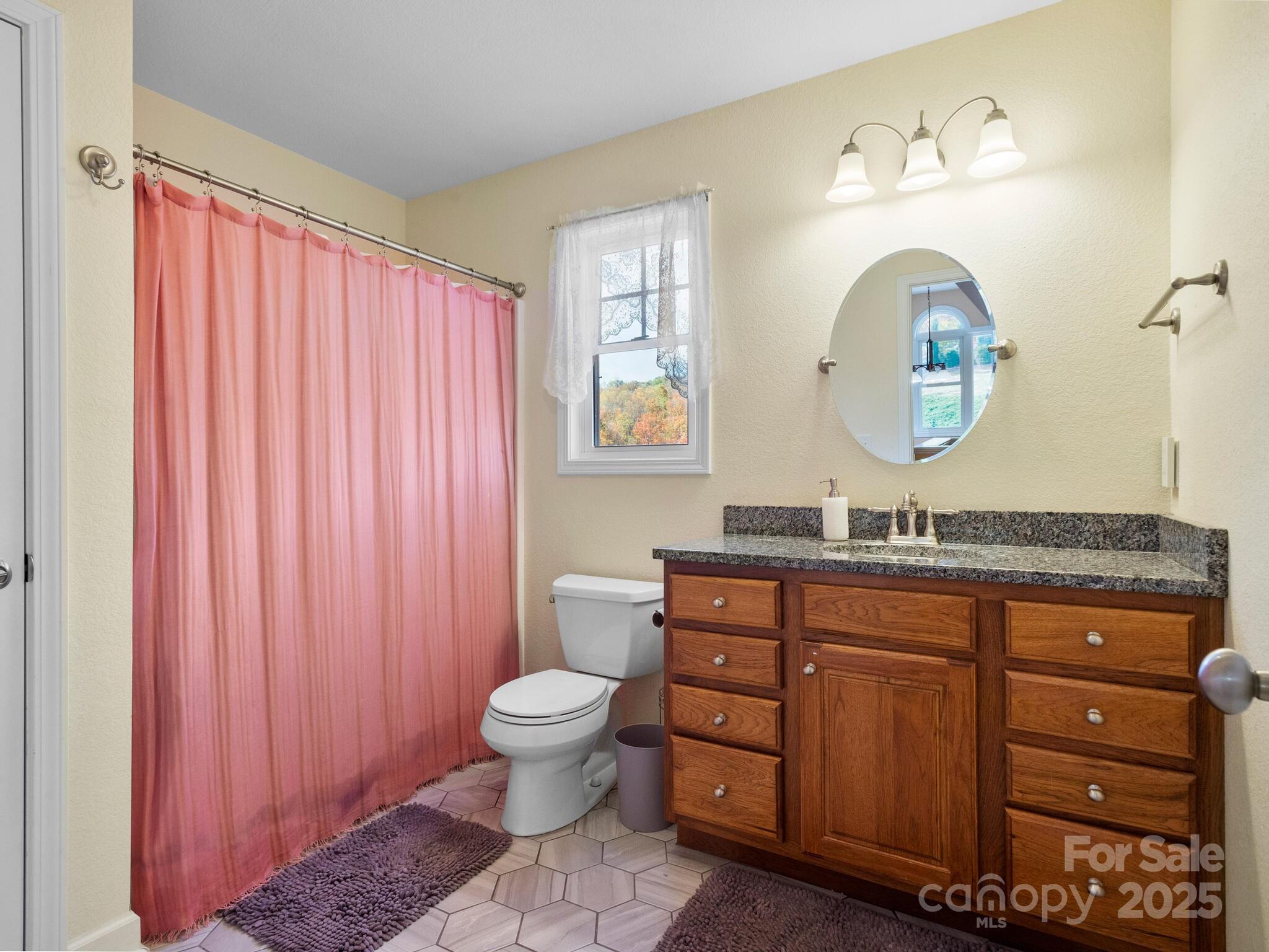 39 Sunnie Rae Lane Candler NC 28715