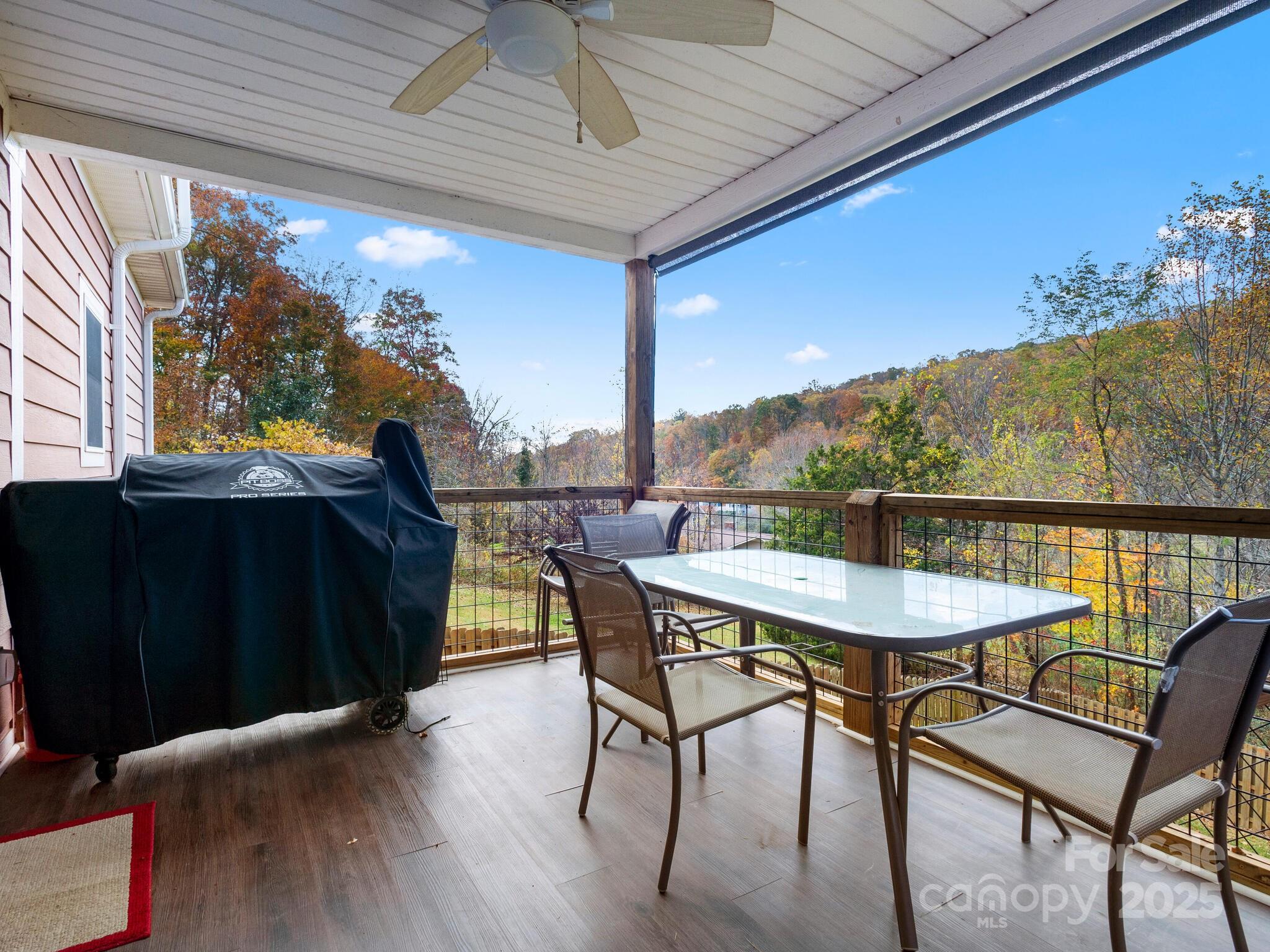 39 Sunnie Rae Lane Candler NC 28715