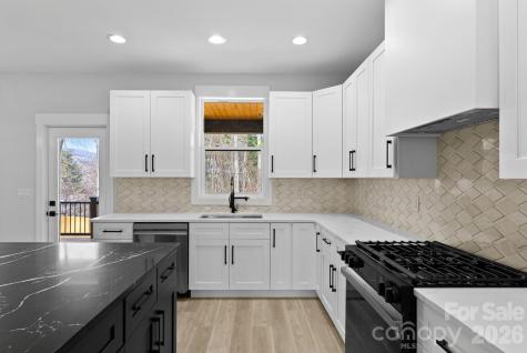 19 E Starnes Cove Road Asheville NC 28806
