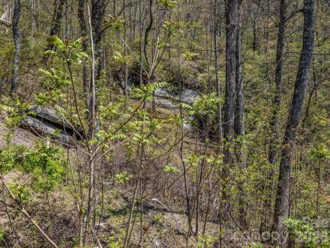 1424 Wolfpen Road Old Fort NC 28762