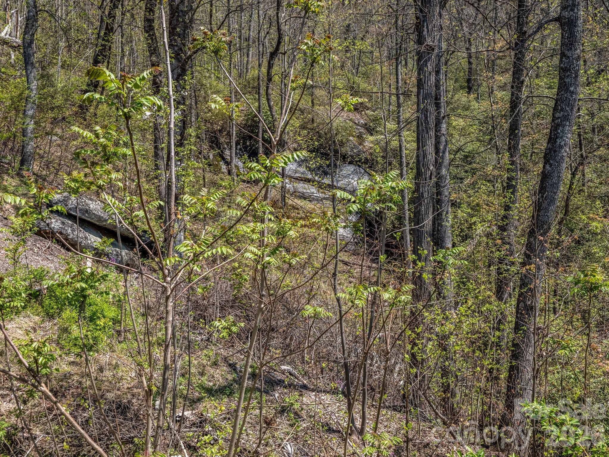 1424 Wolfpen Road Old Fort NC 28762