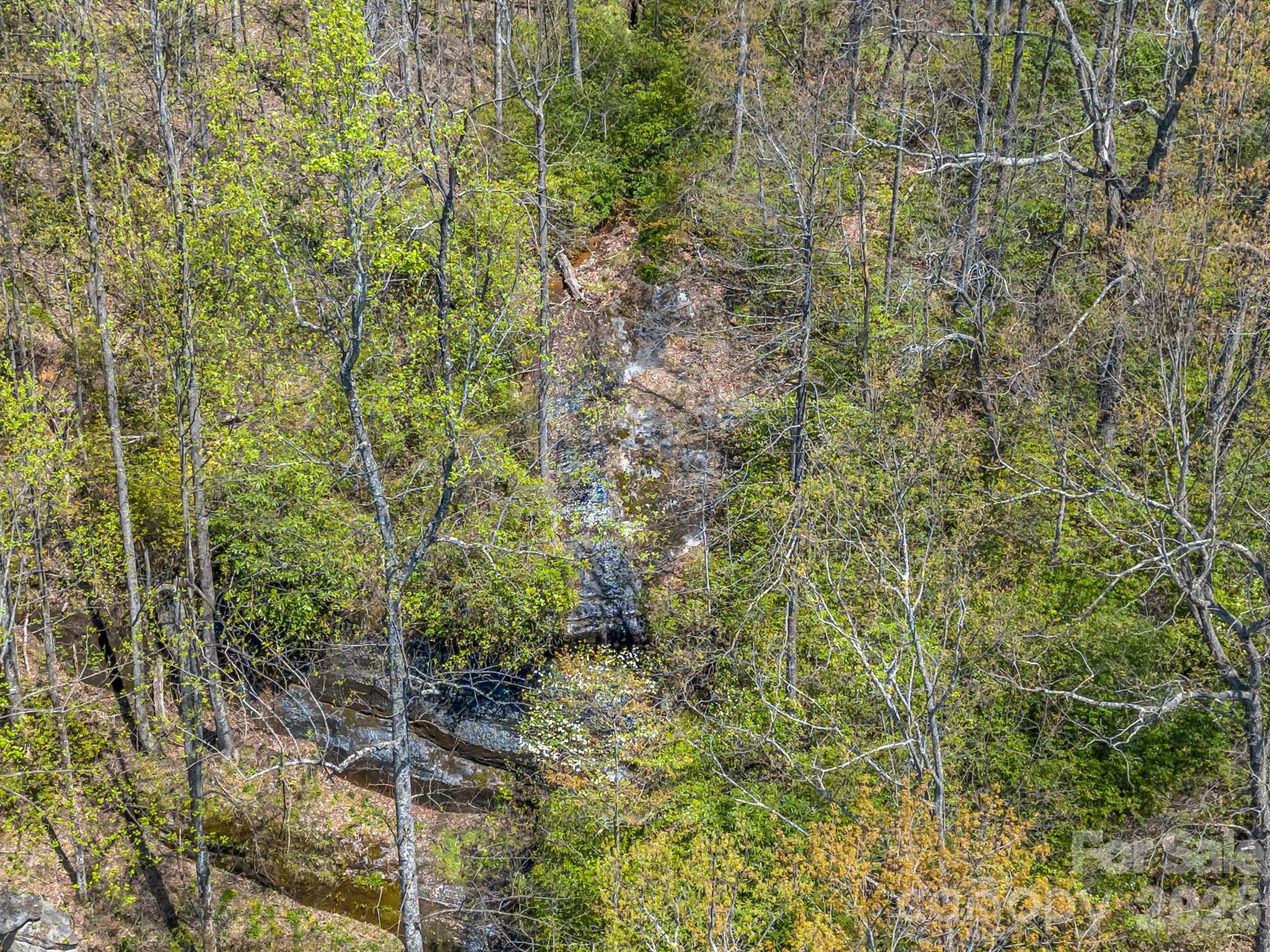 1424 Wolfpen Road Old Fort NC 28762