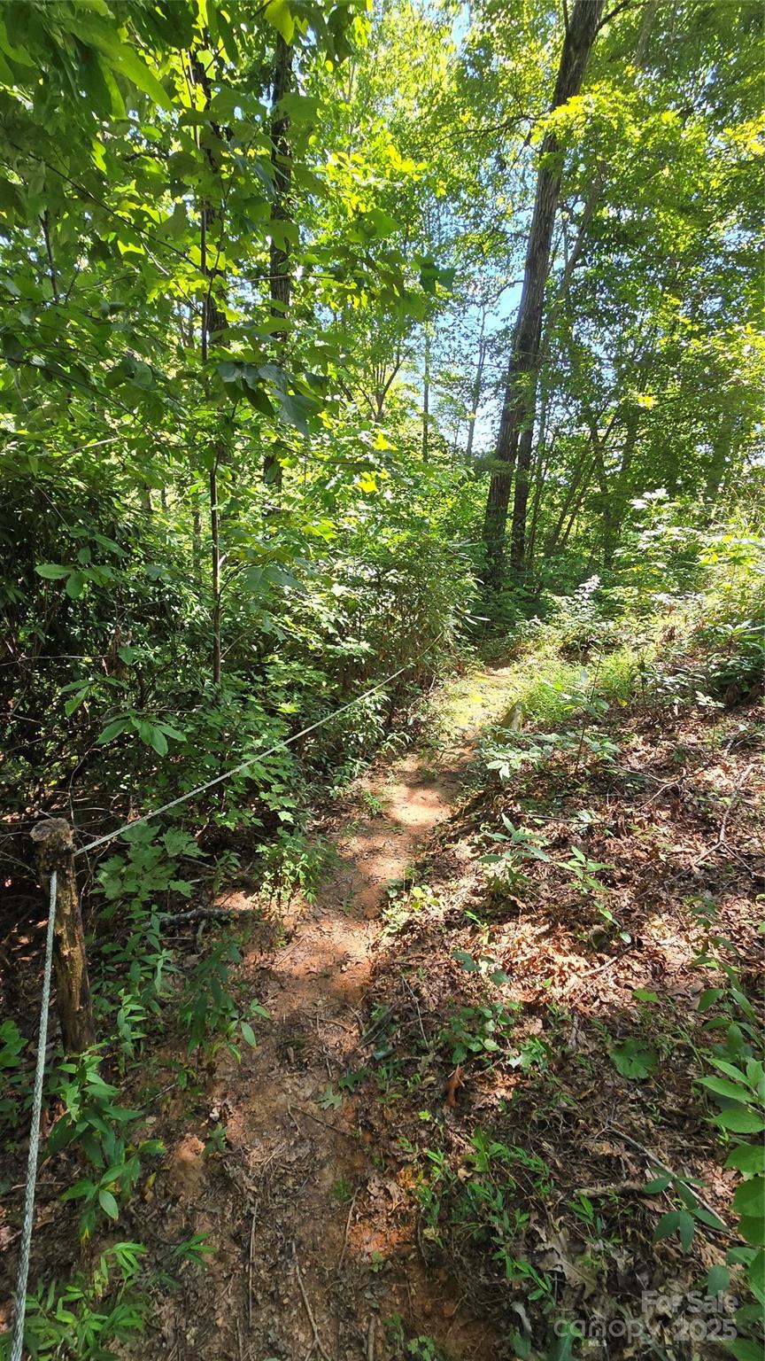 288 Long Ridge Road Old Fort NC 28762