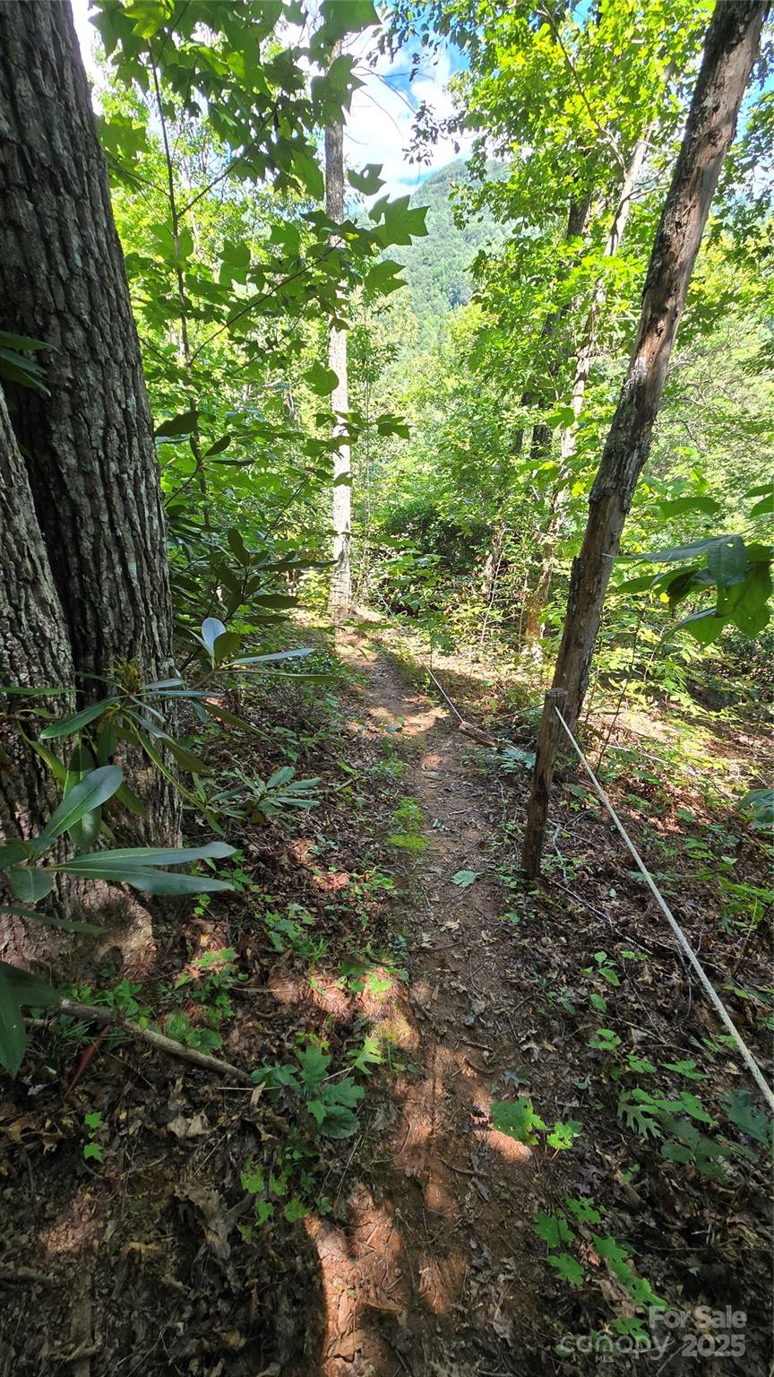 288 Long Ridge Road Old Fort NC 28762