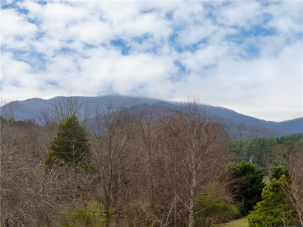 84 Dillingham Circle Asheville NC 28805