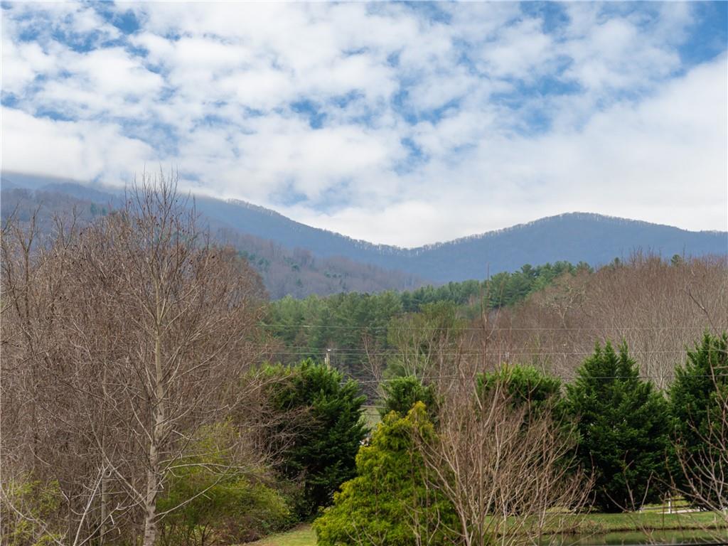 84 Dillingham Circle Asheville NC 28805