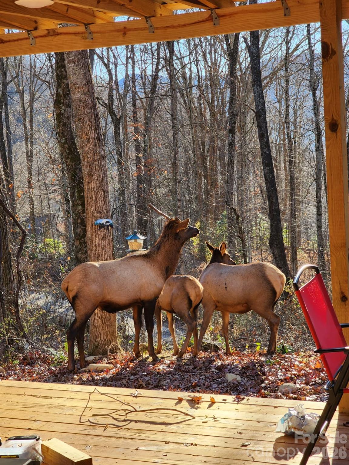 16 Standing Rock Ridge Maggie Valley NC 28751