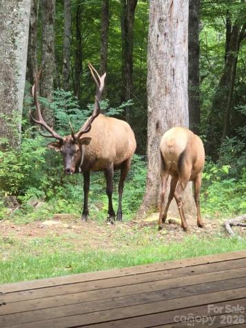 16 Standing Rock Ridge Maggie Valley NC 28751