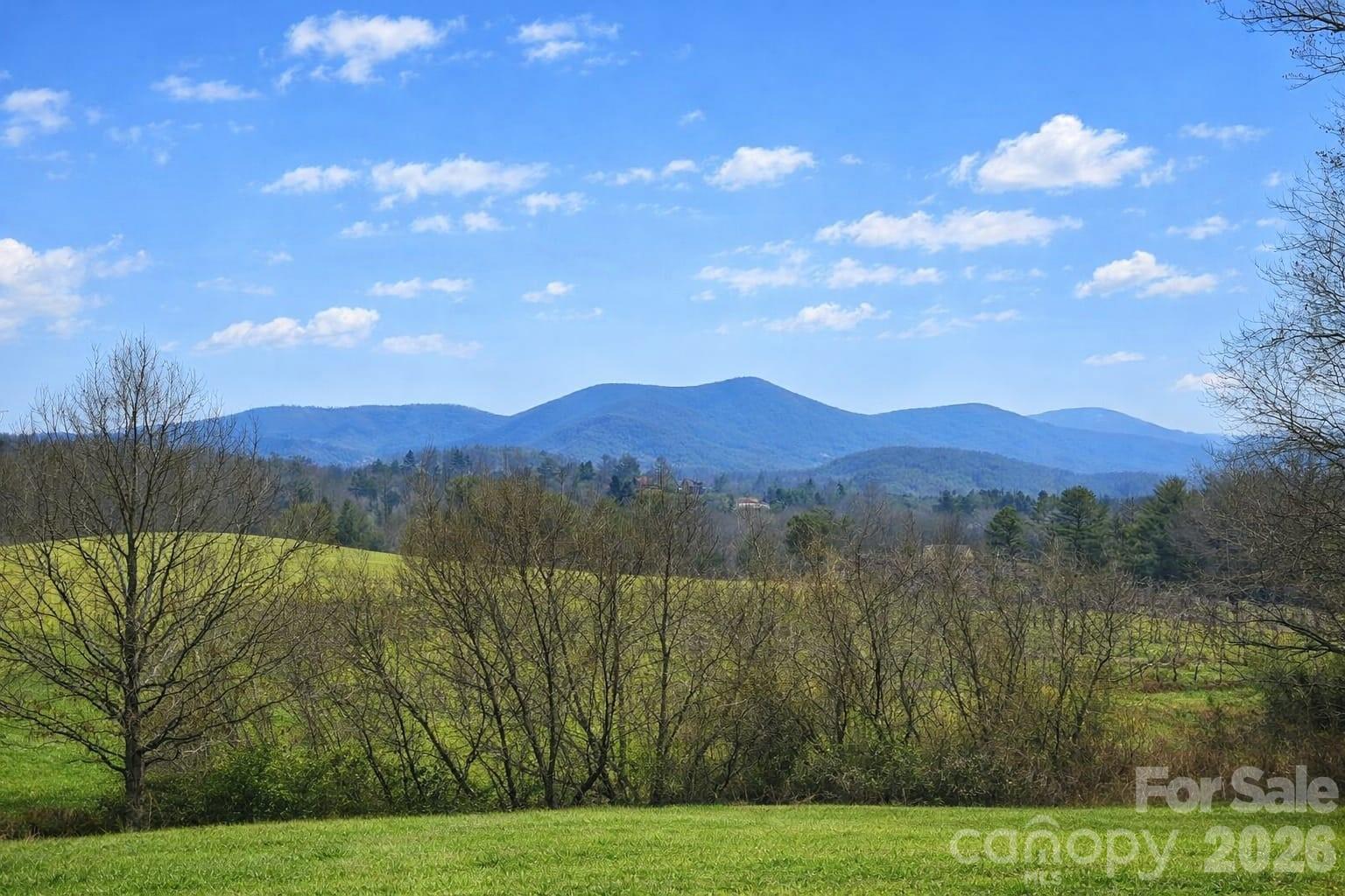 215 Lane Road Flat Rock NC 28731