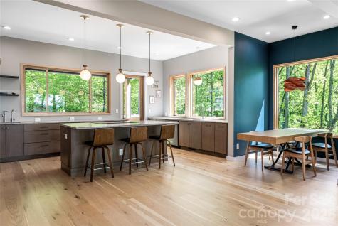 77 Mcintyre Drive Asheville NC 28803