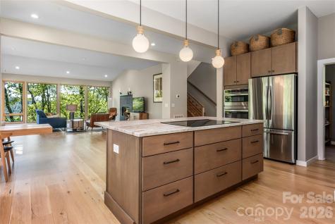 77 Mcintyre Drive Asheville NC 28803