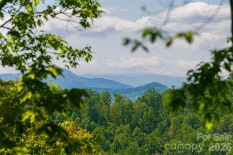 77 Mcintyre Drive Asheville NC 28803