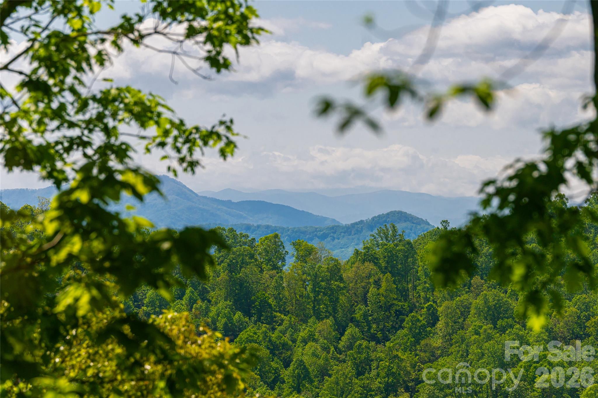 77 Mcintyre Drive Asheville NC 28803