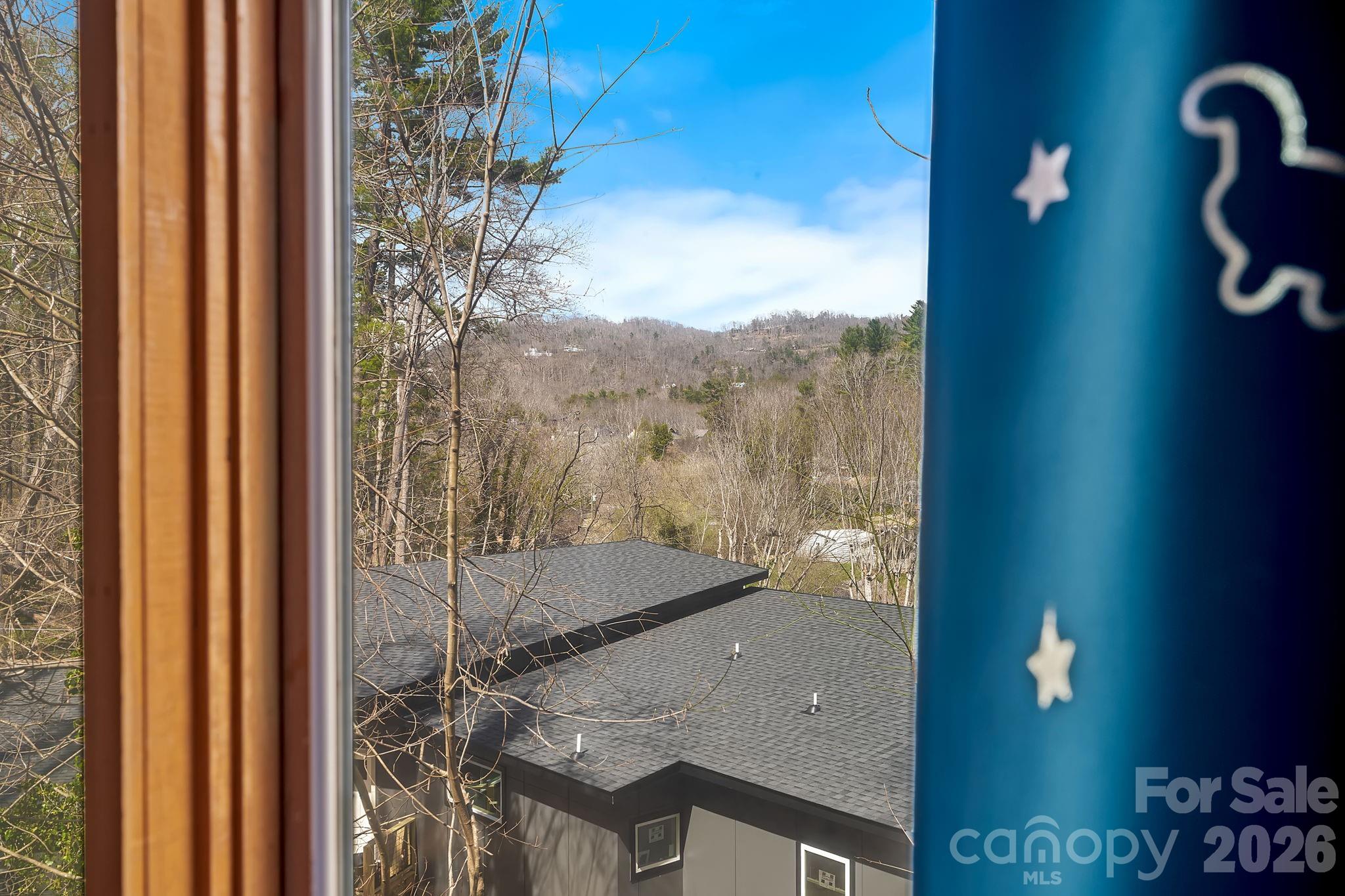 39 Spooks Branch Extension Asheville NC 28804