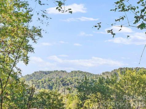 39 Spooks Branch Extension Asheville NC 28804