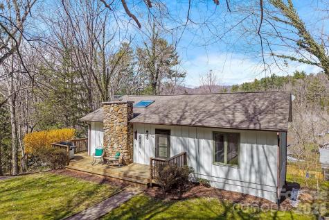 39 Spooks Branch Extension Asheville NC 28804