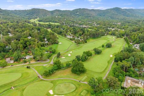 39 Spooks Branch Extension Asheville NC 28804