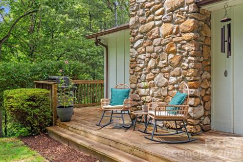 39 Spooks Branch Extension Asheville NC 28804