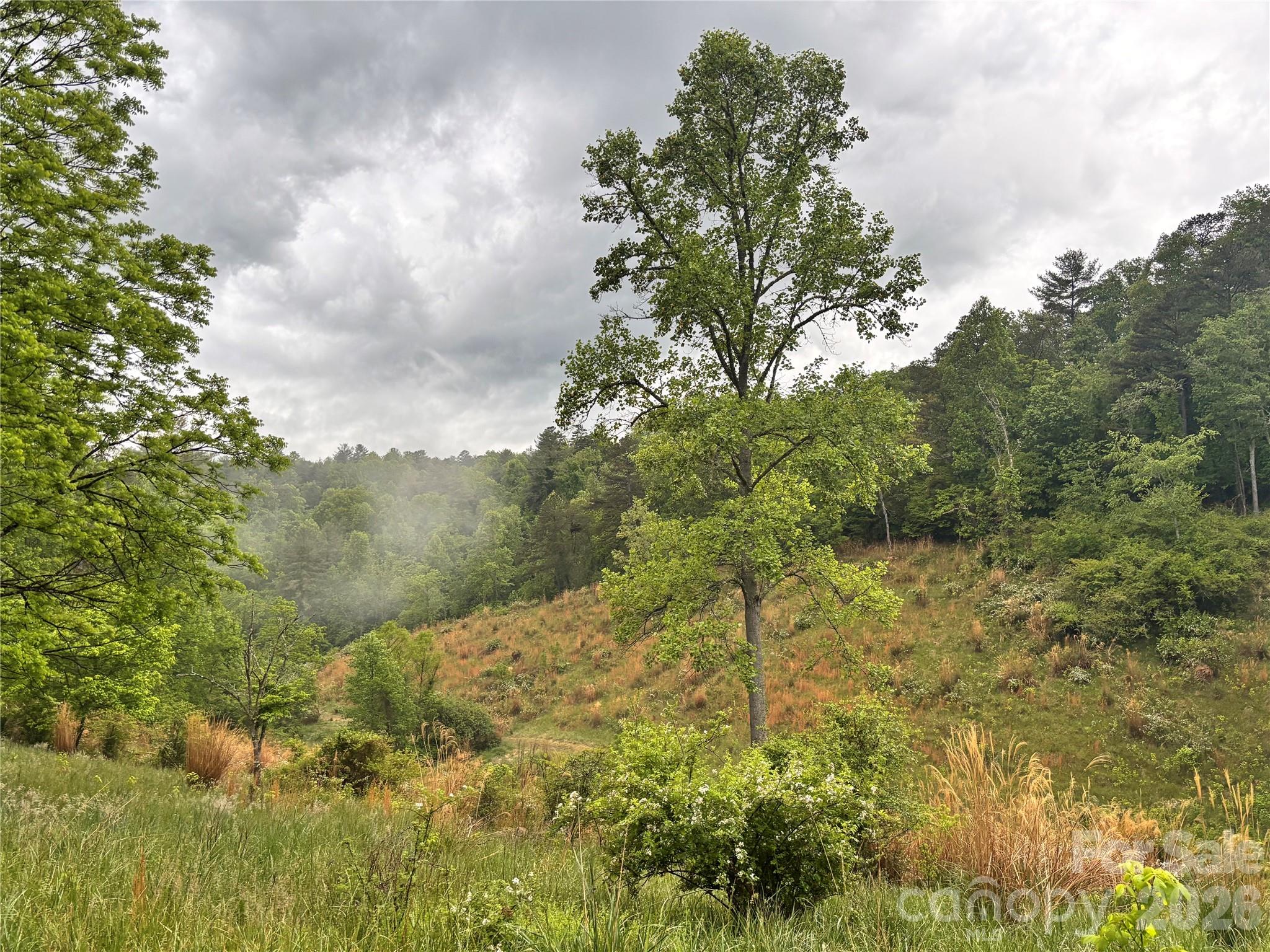 191 Posey Griffin Drive Mars Hill NC 28754