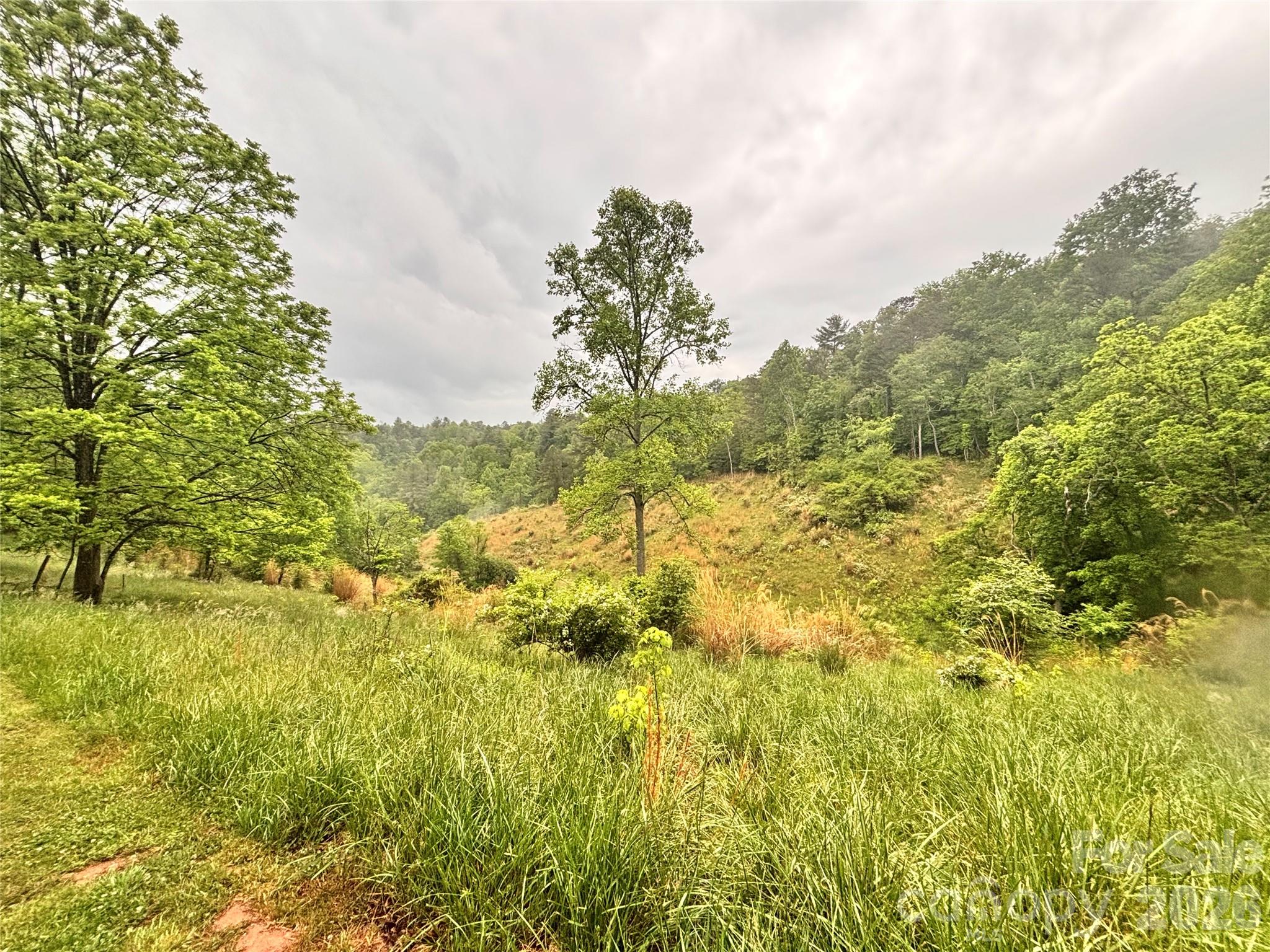 191 Posey Griffin Drive Mars Hill NC 28754