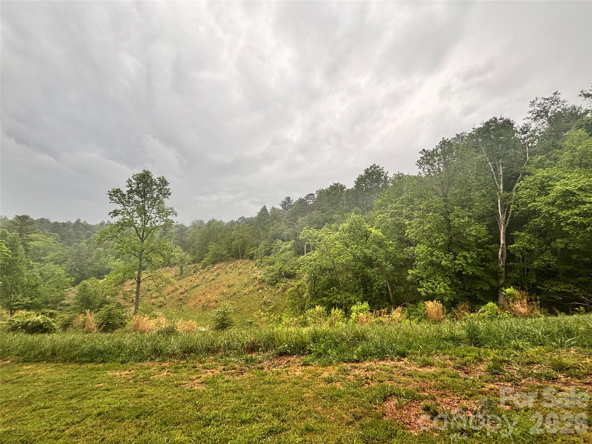 191 Posey Griffin Drive Mars Hill NC 28754